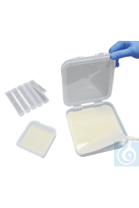 neoLab neoLab� Blotting-Behaelter fuer Midi Blots, PVC, 3er Set 1-1348