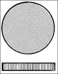 2 350 701 ��������� ����� Witeg, ����. 70 ��. P 1 2 350 701