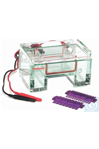 Thermo Scientific Owl & trade; EasyCast & ��������; B1A Mini Gel � A2-OK Multi Gel System ... B1A-CST