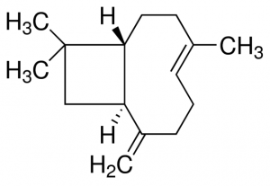 ()-trans-Caryophyllene 
