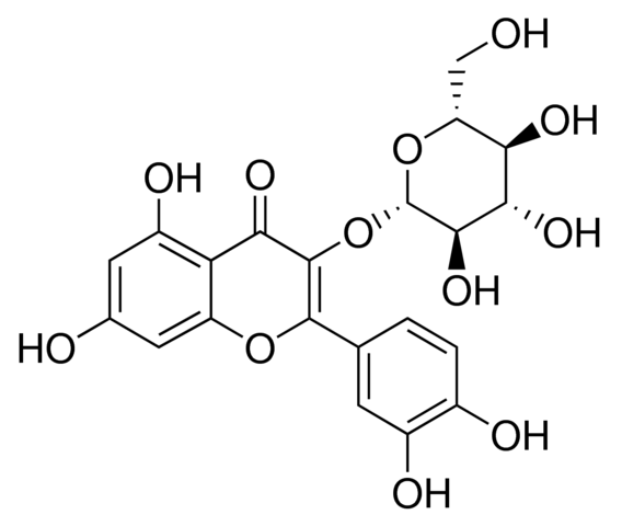 Quercetin 3-glucoside 