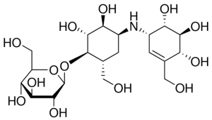 Validamycin A 
