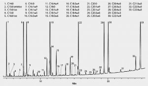Omegawax� Capillary GC Column 24136