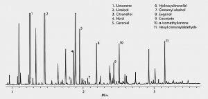SLB�-5ms Capillary GC Column 28465-U