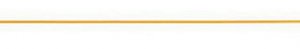 Chromolith� CapRod� RP-18 endcapped 50-0.2 trap capillary column 
