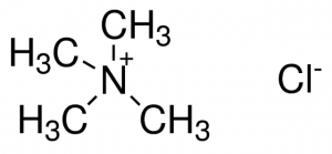 Tetramethylammonium chloride 