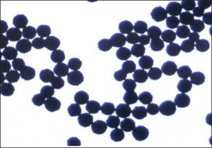 Supel� Sphere Carbon/NH2 SPE Tube 54283-U