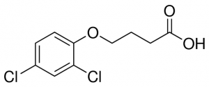 2,4-DB 