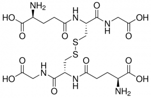 Glutathione Impurity C PHR2461-100MG