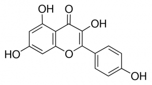 Kaempferol PHR2705-30MG