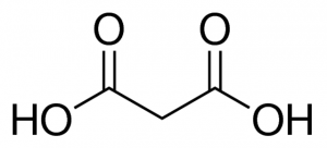 Malonic acid 