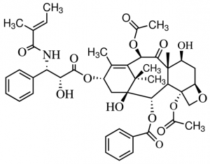 Paclitaxel Related Compound A PHR2111-50MG