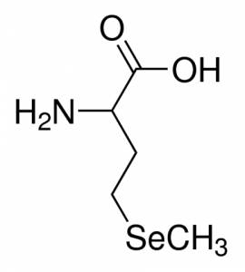 Selenomethionine PHR2613-200MG