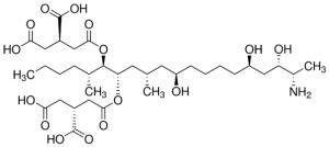 Fumonisin B1 32936-5MG