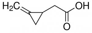 (RS)-(Methylenecyclopropyl)acetic acid 