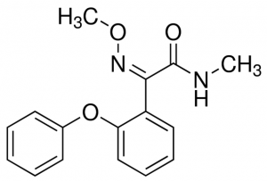 (Z)-Metominostrobin 