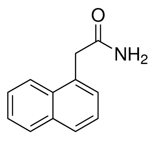 1-Naphthylacetamide CRM43557-100MG