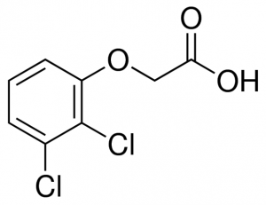 2,3-Dichlorophenoxyacetic acid 
