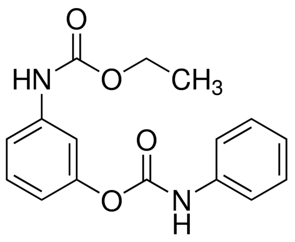 Desmedipham 