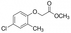 MCPA methyl ester 