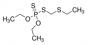 Phorate 