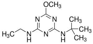 Terbumeton 