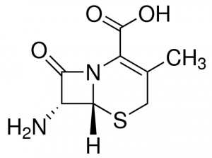 Cefadroxil Related Compound B PHR3004-50MG