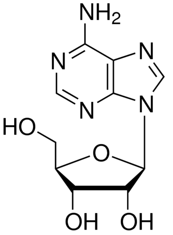Adenosine 1012123-200MG