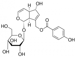 Agnuside 1012203-25MG