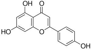 Apigenin 1040683-30MG