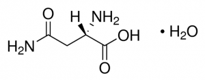 Asparagine monohydrate 1043513-200MG