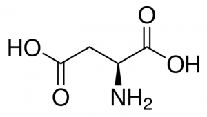 Aspartic acid 1043819-100MG