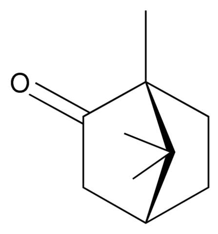 Camphor 1087508-1G