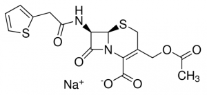 Cefalotin sodium 