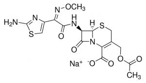Cefotaxime sodium 