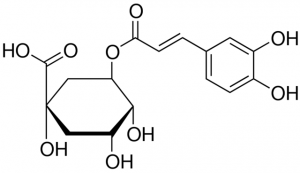 Chlorogenic acid 