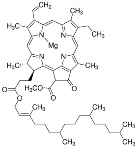 Chlorophyll A 1116774-15MG