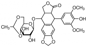 Etoposide for system suitability 