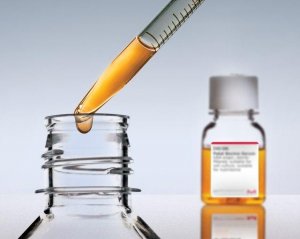 Fetal Bovine Serum 1270548-10ML