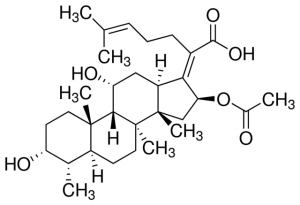 Fusidic acid 