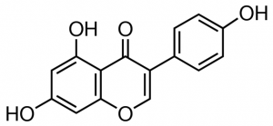 Genistein 1288816-15MG