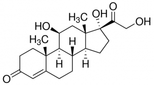Hydrocortisone 1316004-200MG
