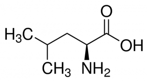 L-Leucine 1357001-200MG