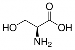 L-Serine 1612506-200MG