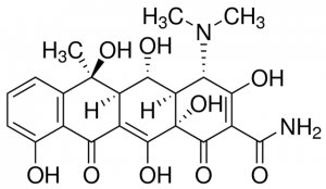 Oxytetracycline for system suitability A Y0002136