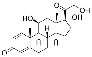 Prednisone impurity B Y0001920