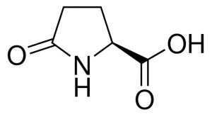 Pyroglutamic Acid 1589029-30MG