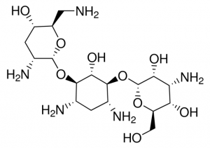 Tobramycin for identification 
