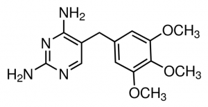 Trimethoprim 1692505-300MG