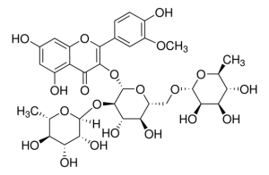 Typhaneoside Y0002045